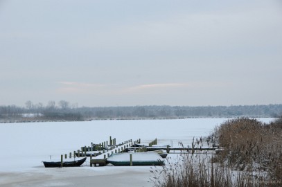 DSC_8149 Winter Budel-Dorplein