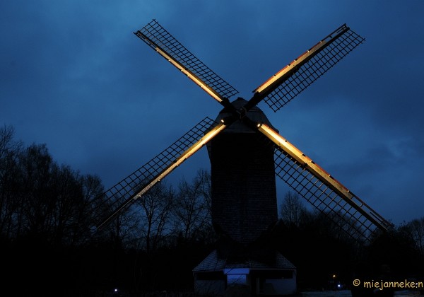 Bokrijk by Night Januari