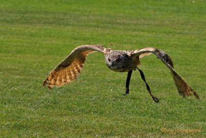 DSC_2052a Arcen 8 juli