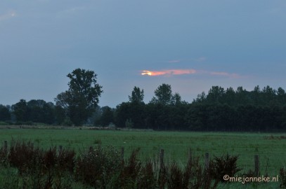 DSC_7611 Luysen