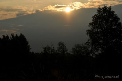 DSC_7638 Luysen