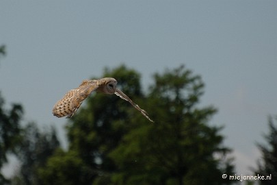 DSC_5355 Blijdorp Rotterdam groepsuitstap