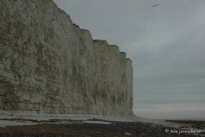 DSC_0906 The seven sisters