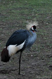 DSC_2845 Kasteelpark Born