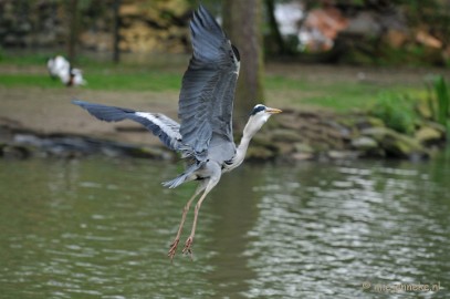 DSC_6192 En de buit in de krop bewaren