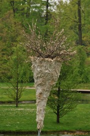 DSC_4721 Kunst in Arcen met natuurlijke materialen.