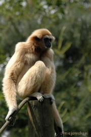 DSC_2999 Buurtverenigings uitje Olmense Zoo
