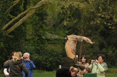 DSC_4306 Roofvogelshow Arcen