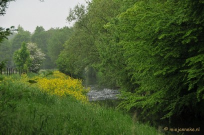 DSC_0374 Wandelen in Limburg