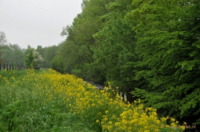 DSC_0377 Wandelen in Limburg
