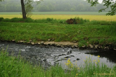 DSC_0380 Wandelen in Limburg