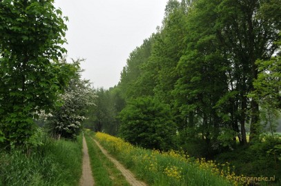 DSC_0387 Wandelen in Limburg