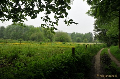 DSC_0401 Wandelen in Limburg