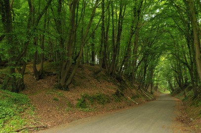 DSC_0463 Wandelen in Limburg