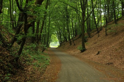 DSC_0465 Wandelen in Limburg