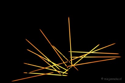 DSC_1571a ASCII