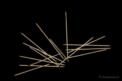 DSC_1574a ASCII