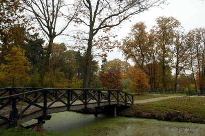 DSC_0864 Herfst in Arcen