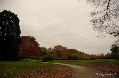 DSC_1138 Herfst in Arcen