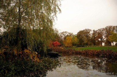 DSC_1157 Herfst in Arcen