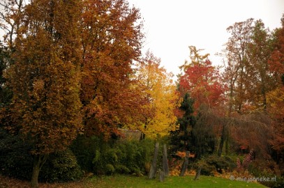 DSC_1160 Herfst in Arcen
