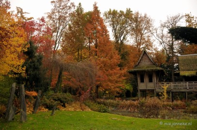 DSC_1162 Herfst in Arcen