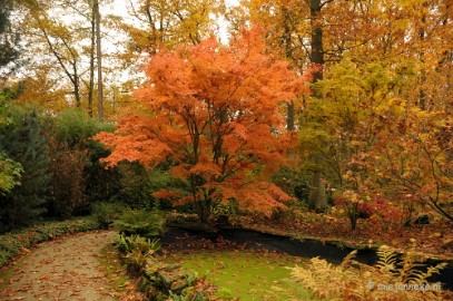 DSC_1168 Herfst in Arcen