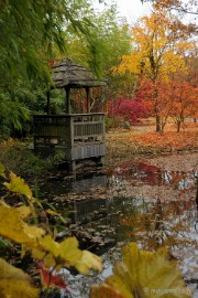 DSC_1228 Herfst in Arcen