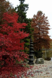 DSC_1239 Herfst in Arcen