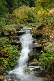 DSC_1276 Herfst in Arcen