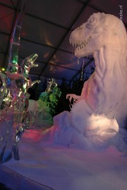 DSC_5213 Roermond 2010