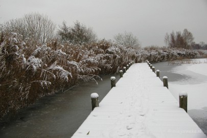 DSC_4958 Vroeg winter op de Peel