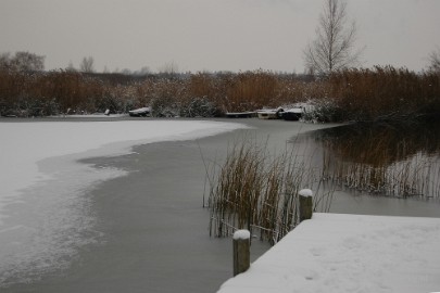 DSC_4963 Vroeg winter op de Peel
