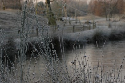 DSC_4451a Touch of winter in de BB