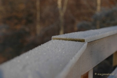DSC_4542a Touch of winter in de BB