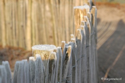 DSC_4566a Touch of winter in de BB