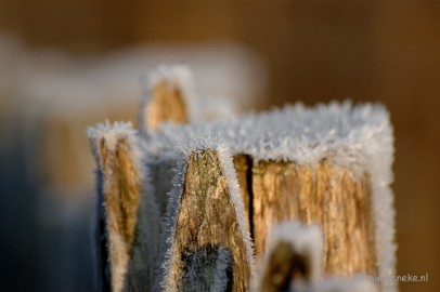 DSC_4571a Touch of winter in de BB