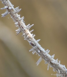 DSC_4650a Touch of winter in de BB
