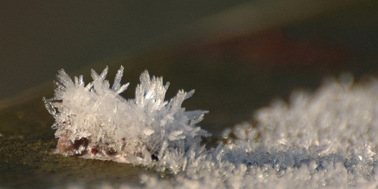 DSC_4688a Touch of winter in de BB