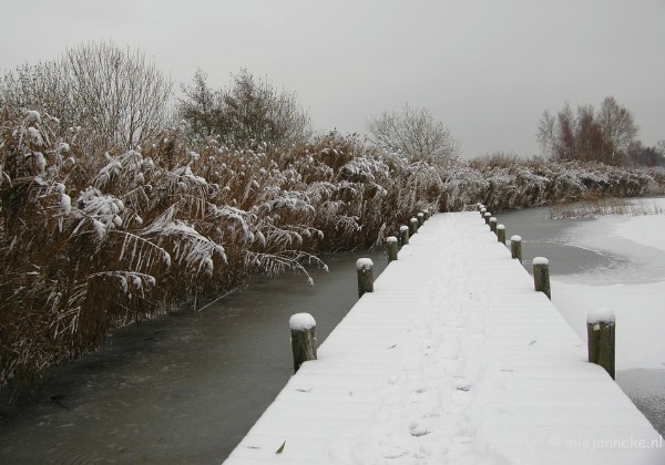 Tis vroeg winter op de Peel November