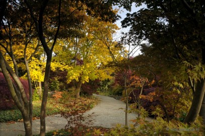 DSC_0449 Herfst in Arcen