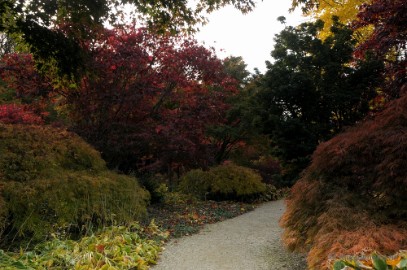 DSC_0463 Herfst in Arcen
