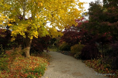 DSC_0470 Herfst in Arcen
