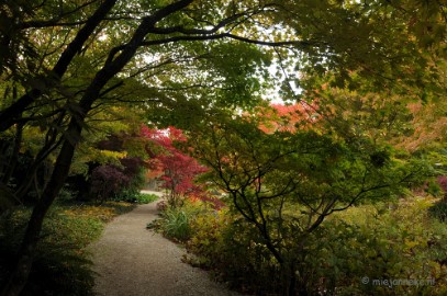 DSC_0489 Herfst in Arcen