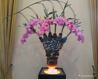 DSC_0237 Orchiade
