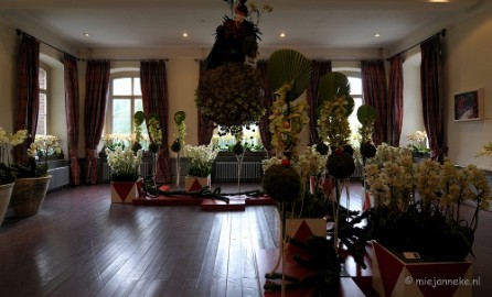 DSC_0096 Orchiade