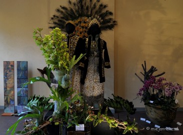 DSC_0149 Orchiade