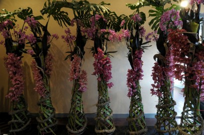 DSC_0158 Orchiade