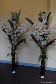 DSC_0185 Orchiade