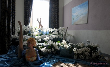 DSC_0242 Orchiade